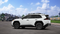 Toyota RAV4 Woodland 2026
