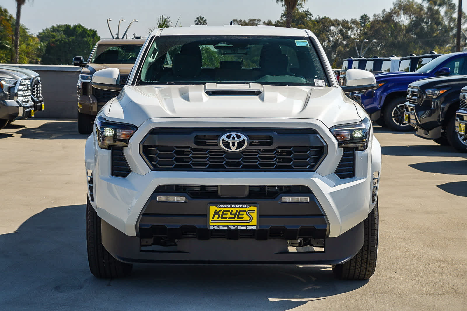 2025 Toyota Tacoma TRD Sport