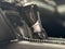 Honda Accord Sedan Sport 1.5T 2018
