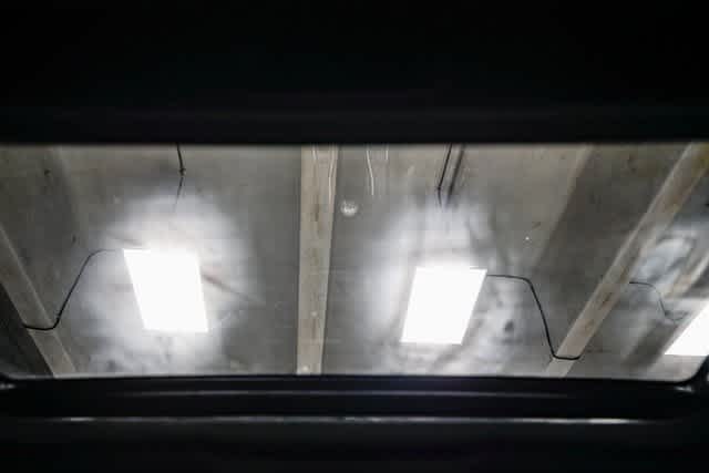 Honda Civic Si Manual 2020