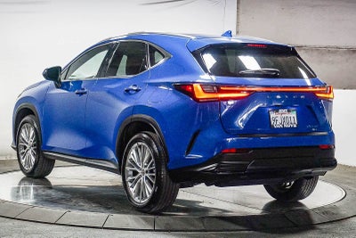 Lexus NX 350 Luxury 2023