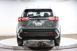 Toyota RAV4 XLE 2020