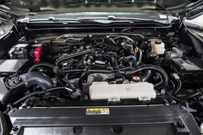 Toyota Tacoma TRD Sport 2024