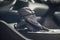 Toyota Highlander XSE 2023