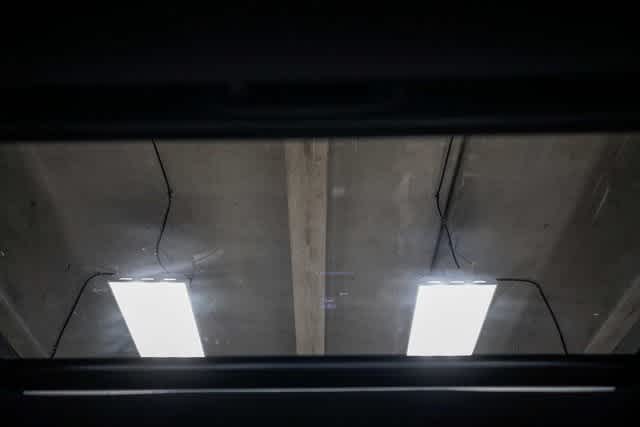 Toyota Tacoma TRD Sport 2017