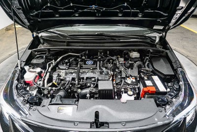 Toyota Corolla Hybrid LE 2024