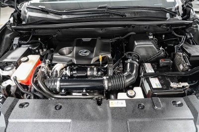 Lexus NX 300 2019 NX 300