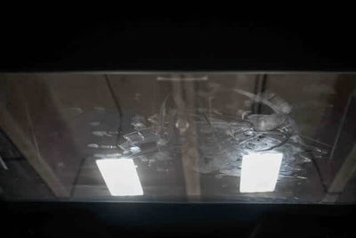 Toyota bZ4X XLE 2024