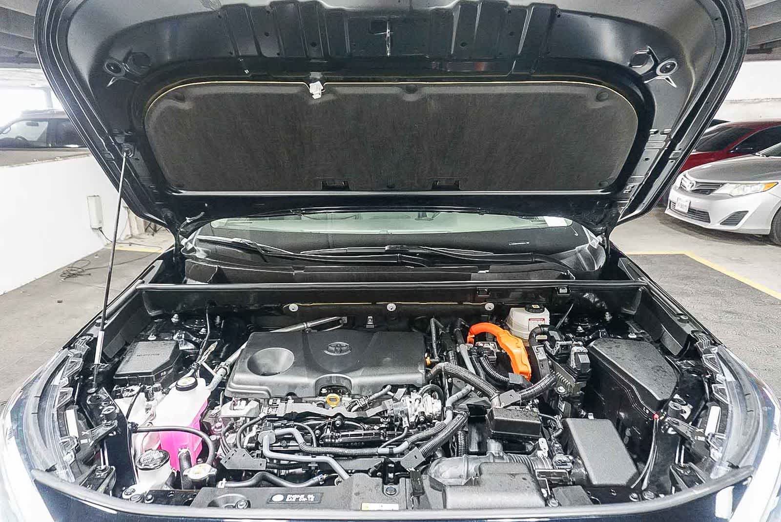 Toyota RAV4 Hybrid XLE Premium 2025