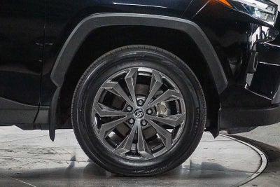 Toyota RAV4 Hybrid XLE Premium 2025