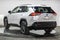 Toyota RAV4 Hybrid XLE Premium 2024