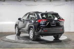 Toyota RAV4 LE 2019